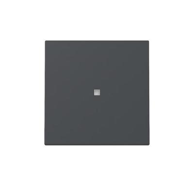 Gira Wippe Kontrollf. 329028