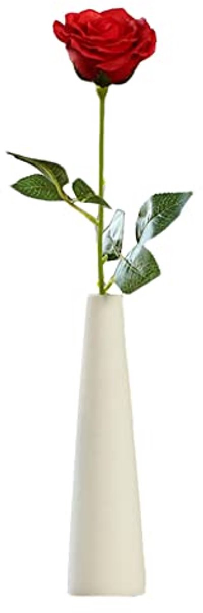 Hoge Conische Keramische Bloemvaas - Decoratieve Vaas voor Binnen