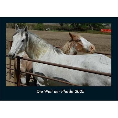 Die Welt der Pferde 2025 Fotokalender DIN A4