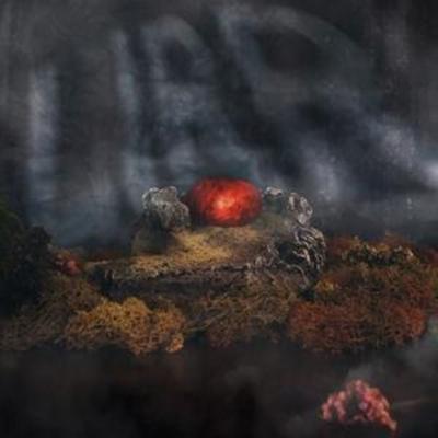 God's On Our Side;Welcome To The Jungle - Lirr, CD