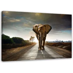 WANDBILD Wandernder Elefant 60x40cm