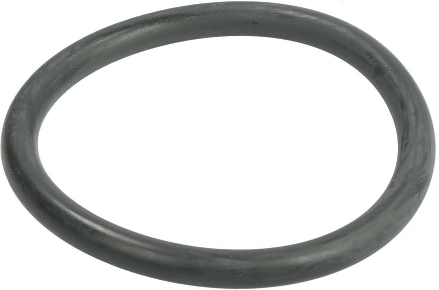 O-Ring LEMA LE106820