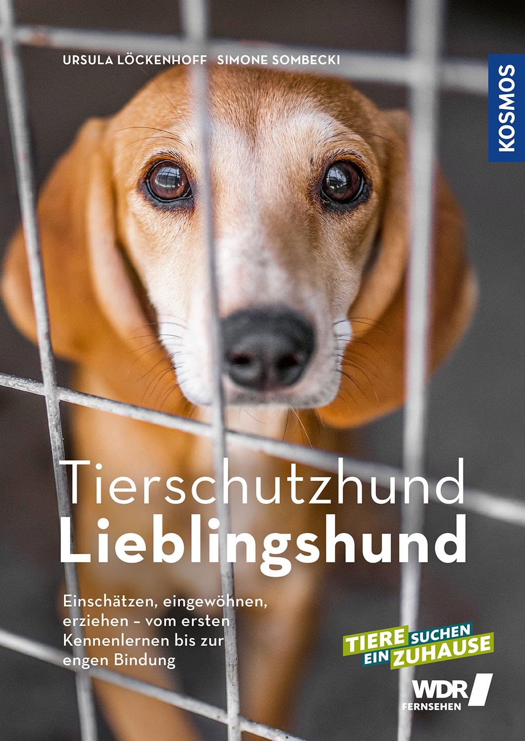 Ursula Löckenhoff - Tierschutzhund Lieblingshund: Einschätzen, eingewöhnen, erziehen - vom ersten Kennenlernen bis zur engen Bindung - Preis vom 09.10.2026 07:28:09 h