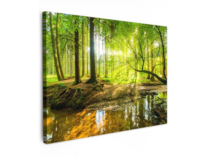 LEINWANDBILD Wald - Landschaft - Wasser - Bäume - Sonne - Grün - Natur Wandbilder 80x60 cm