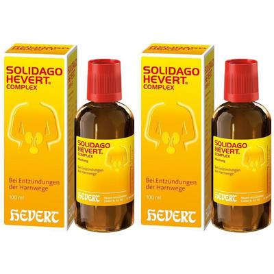 Solidago Hevert Complex Tropfen 2x 2x100 ml