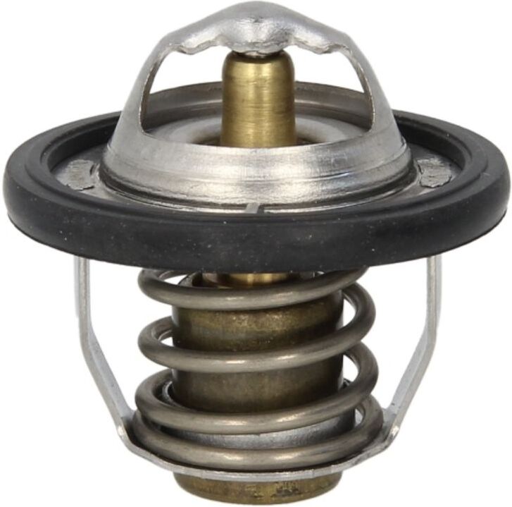 Thermostat TOURMAX TMT-302