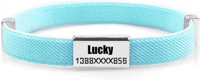 Inspire Picks PawID Personalized Breakaway Pet Collar Custom Name Collar With Metal ID Tag For Cats & Small Dogs cyan And Tag