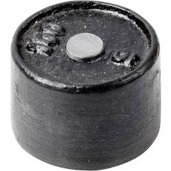 Kern 366-91 Einzelgewicht, OIML-Klasse M3, 100 g, Zylinder, Gusseisen lackiert