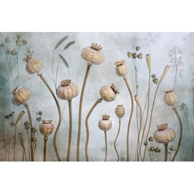 Fototapete PAPERMOON "Photo-Art MANDY DISHER, MOHN", bunt, B:4,5m L:2,8m, Vlies, Tapeten