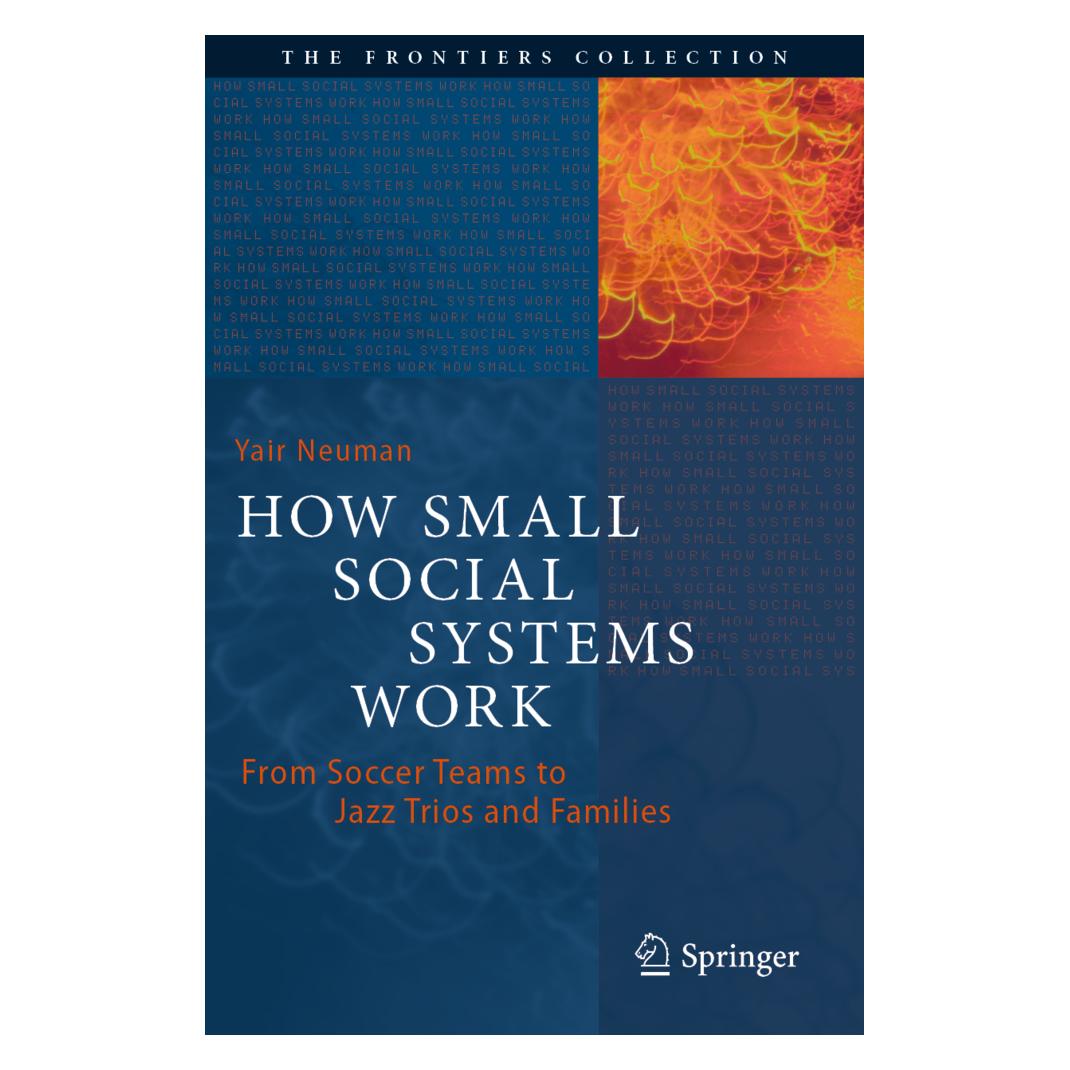 Springer How Small Social Systems Work (Englisch, Softcover, Yair Neuman) (56878731)