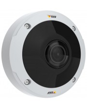 Axis M3058-PLVE Network Camera Netzwerk-Überwachungskamera Kuppel Außenbereich staubdicht/wasserdicht/vandalismusresistent Farbe (Tag&Nacht) (01178-001)