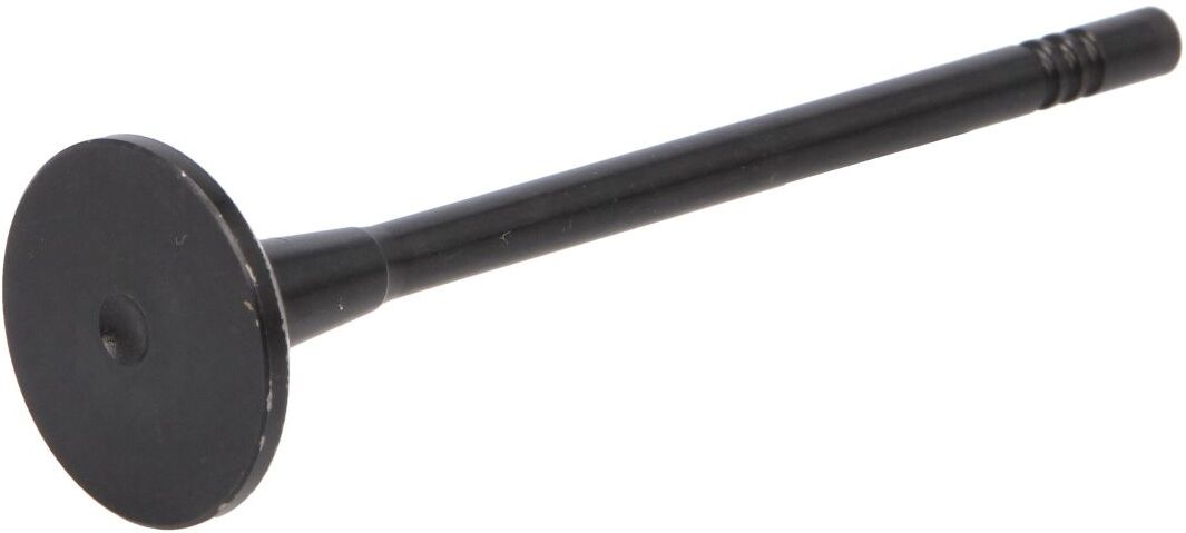 Auslassventil DNJ EV1169