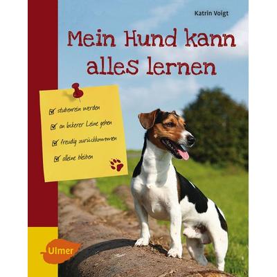 Mein Hund kann alles lernen, Gebundene Ausgabe von Katrin Voigt, Verlag Eugen Ulmer, 978-3-8001-1292-0
