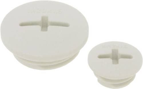 LAPP 52006160 SKINDICHT BLK-GL-M 50x1,5 RAL 7035 LGY Verschlussschraube M50 Polyamid Lichtgrau (RAL 7035)