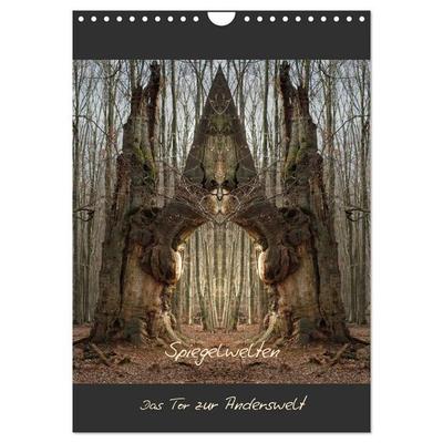 Spiegelwelten - Das Tor zur Anderswelt (Wandkalender 2027 DIN A4 hoch), CALVENDO Monatskalender