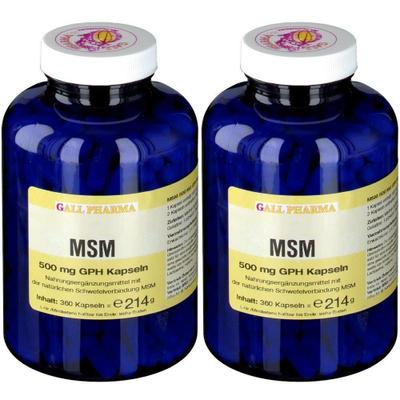MSM 500 mg GPH Kapseln x2 2x360 St