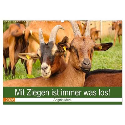 Mit Ziegen ist immer was los! (Wandkalender 2026 DIN A2 quer), CALVENDO Monatskalender