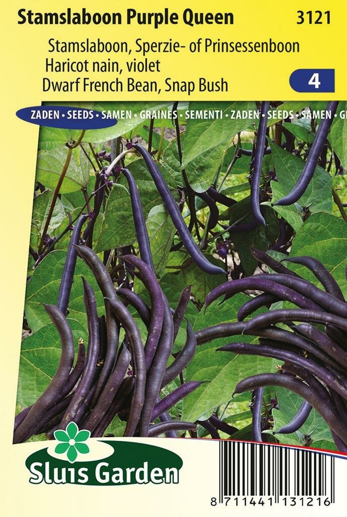 Sluis Garden Stamslaboon Purple Queen