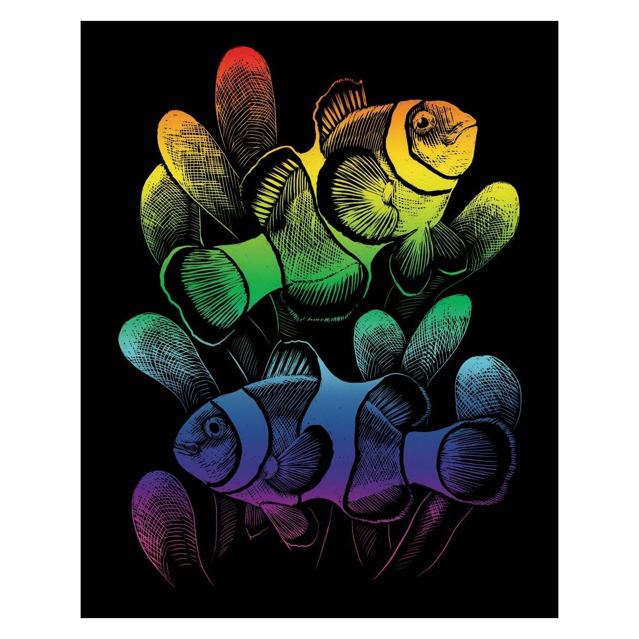 Pracht Kratzbilder Rainbow Clownfisch 20,3x25,4cm (72003141)