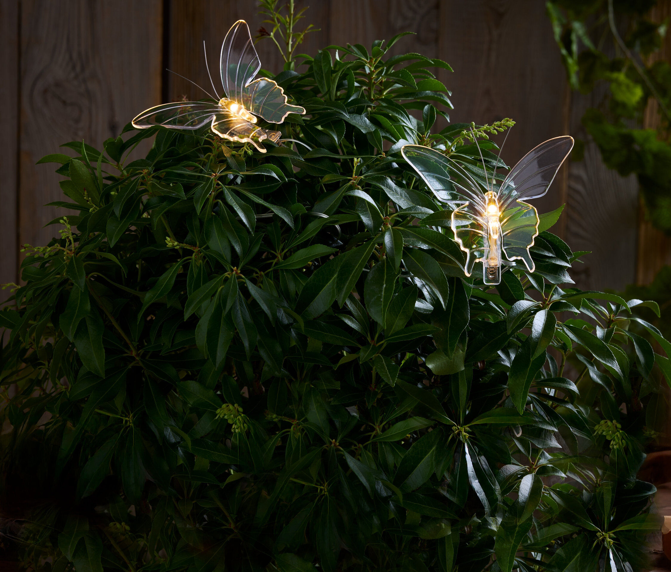 Tchibo - 2 LED-Outdoor-Schmetterlinge - 9x10x5cm - transparent -