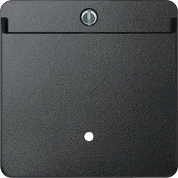Merten Card-Schalter anth 315414