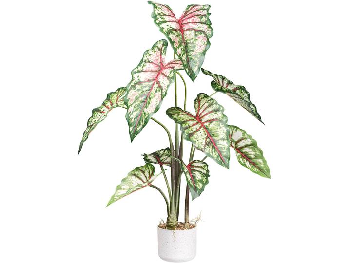 Künstliche Zimmerpflanze CREATIV GREEN Syngonium , grün, H:100cm, Kunstpflanzen, Künstliche Zimmerpflanze, mit außergewöhnlichem Blattwerk