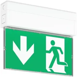 RZB, Sicherheitskennzeichnung, Notleuchte GSUN-S ws 672805.002 Wand-Decke inkl Folien f.Zentralbatterie