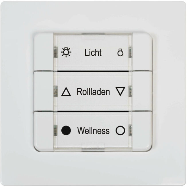 DELTA DORE DuoFern Bouton mural multiple ultra blanc 9494-2 ; Rademacher (32501972)