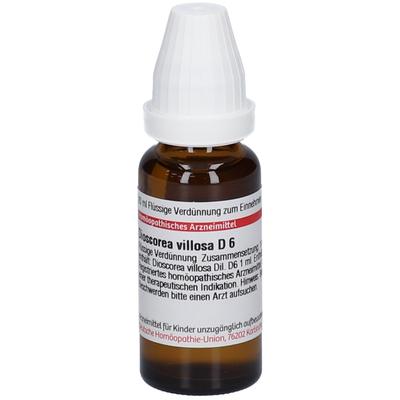 Dioscorea Villosa D 6 Dilution 20 ml