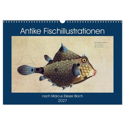 Antike Fischillustrationen nach Marcus Elieser Bloch (Wandkalender 2027 DIN A3 quer), CALVENDO Monatskalender