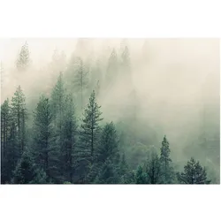 FOTOTAPETE Wald im Nebel Erwachen 336/225 cm