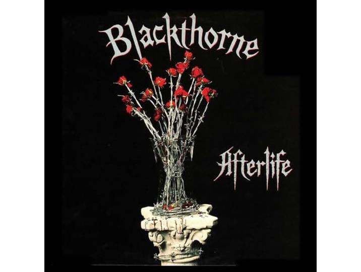 AFTERLIFE