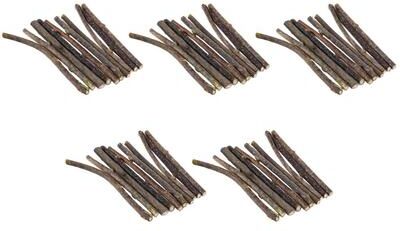 Uplifted Finds Natural Silvervine Dental Chew Sticks 50 Pcs
