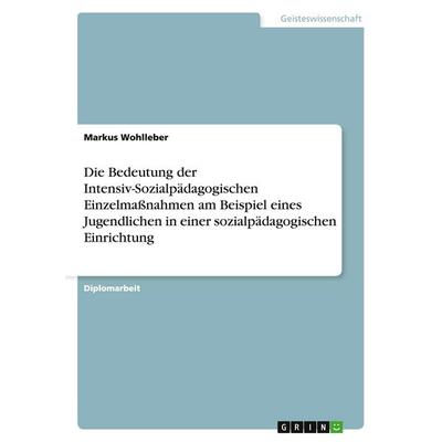 Die Bedeutung der Intensiv-Sozialpädagogischen Einzelmaßnahmen am Beispiel eines Jugendlichen in einer sozialpädagogischen Einrichtung, Taschenbuch