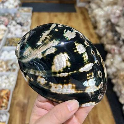 Abalone Shell Smudge Kit Paua Shell Sage Smudging Bowl With Stand f