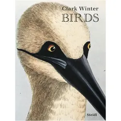 Winter:Birds, Ratgeber von Clark Winter, Winter, Clark
