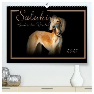 Salukis - Kinder des Windes (hochwertiger Premium Wandkalender 2027 DIN A2 quer), Kunstdruck in Hochglanz