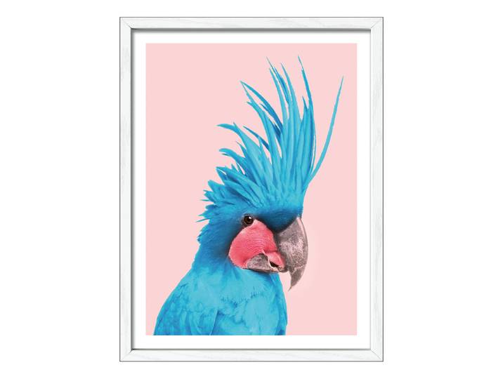 Image en bois Cacatoès bleu Verre flotté, MDF Bleu/Rose foncé 33 x 43 x 1cm