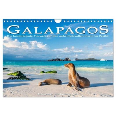 Die faszinierende Tierwelt der Galapagos-Inseln (Wandkalender 2027 DIN A4 quer), CALVENDO Monatskalender