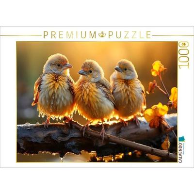 CALVENDO Puzzle Vögel, herrlicher Sonnenschein, nicht wahr! | 1000 Teile Lege-Größe 64x48cm Foto-Puzzle für glückliche Stunden, Sonstige von ,