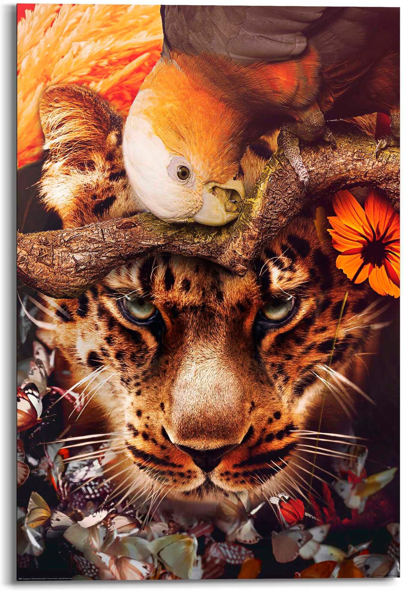 Reinders! Deco-Panel REINDERS "Cheetah", braun (farbe bild(er): braun), B:60cm H:90cm T:2cm, Holzwerkstoff, Bilder, Deco-Panel