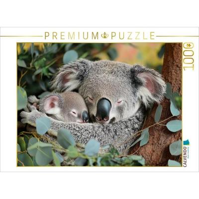 CALVENDO Puzzle Koalakuscheln pur | 1000 Teile Lege-Größe 64x48cm Foto-Puzzle für glückliche Stunden