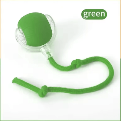 Inspire Curations RoboRoll Smart Interactive Rolling Ball For Cats green