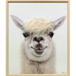Leinwandbild LAMA YOUNGSTER (BHT 50x60x3,50 cm) - BHT 50x60x3,50 cm