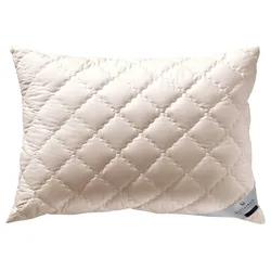 billerbeck Kopfkissen Bamboo - B/L ca. 40.00x80.00