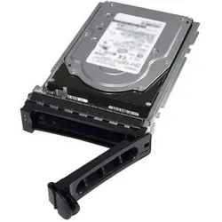 Dell 2TB 7.2K RPM NLSAS 12Gbps, Festplatte
