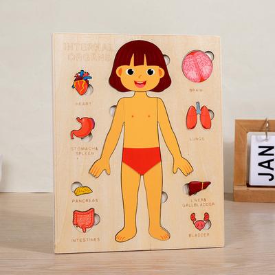 Discount Dollar Deals Montessori Human Body Puzzle Busy Board For Toddlers Early Learning Game girl