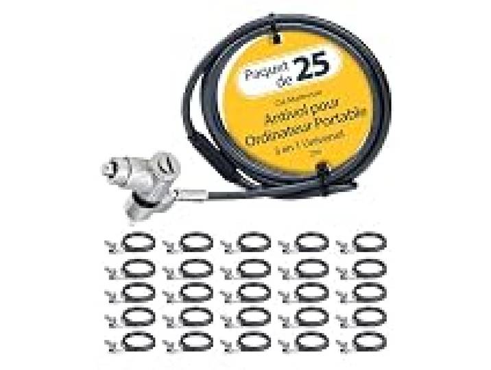 StarTech Lot de 25 Antivols Universels PC Portable, 2m, à Clé Maîtresse