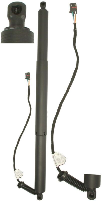 Elektromotor, Heckklappe MAGNUM TECHNOLOGY MGS0198MT