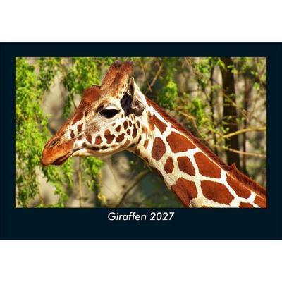 Giraffen 2027 Fotokalender DIN A5